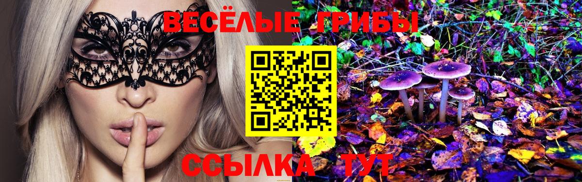 Псилоцибиновые грибы Cubensis Прохладный