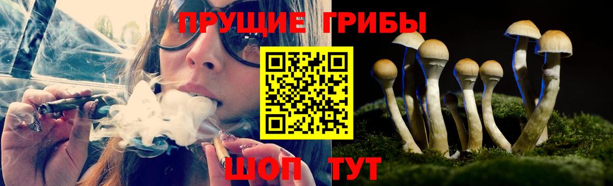 Галлюциногенные грибы мухоморы  Вход с VPN  Прохладный  закладки  Псилоцибиновые грибы Cubensis 